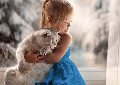 Купить Пластиковые окна по цене  гривен на официальном сайте VEKA (фото № 4)